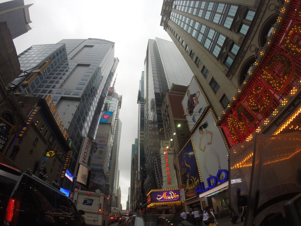 DCIM101GOPRO